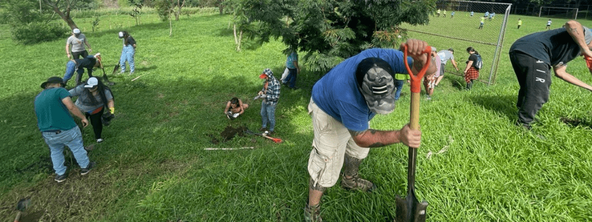 Group of people planting trees in the park